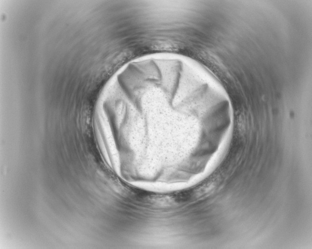 X0000088610322200706221437