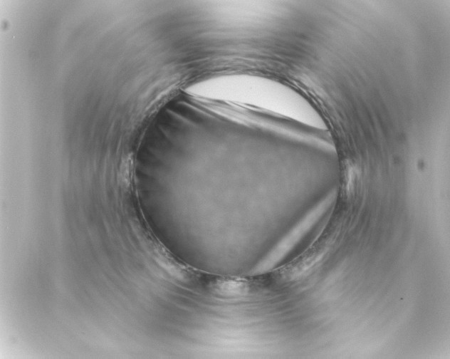 X0000088610325200706221437