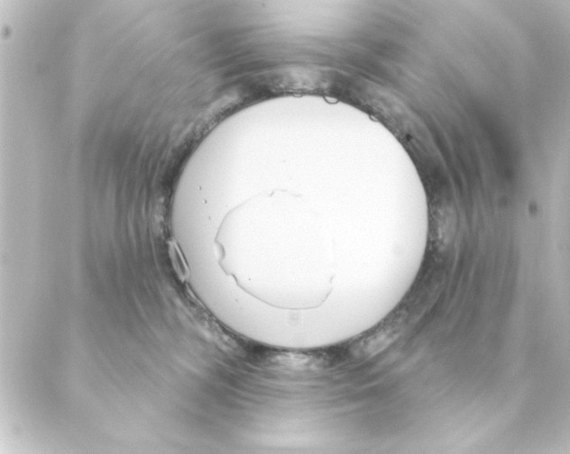 X0000088610326200706221437