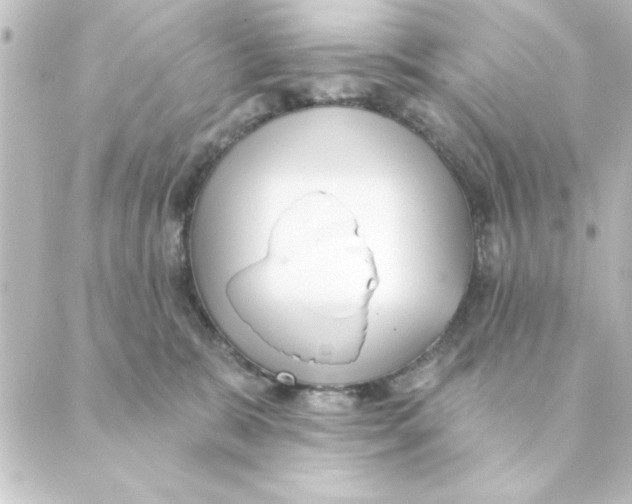 X0000088610327200706221437