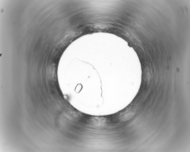 X0000088610328200706221437