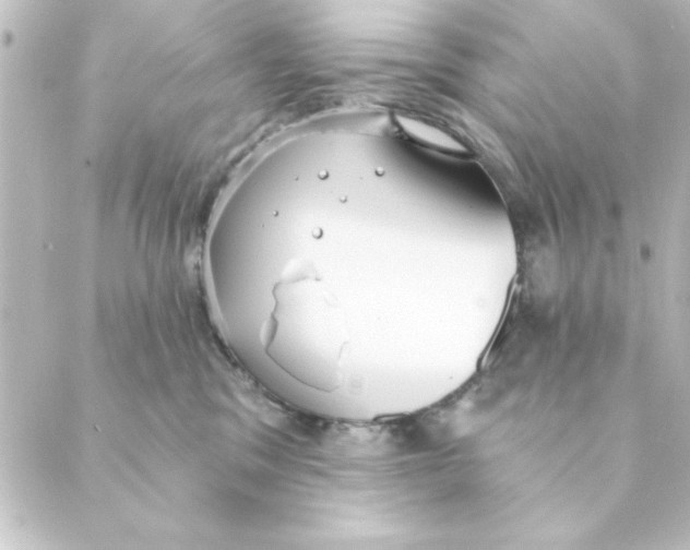 X0000088610329200706221437