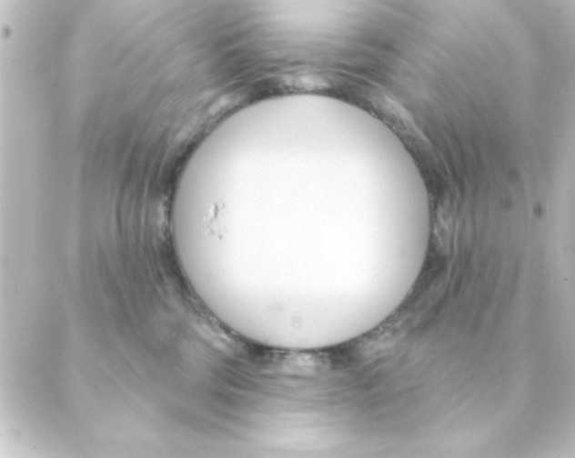 X0000088610330200706221437