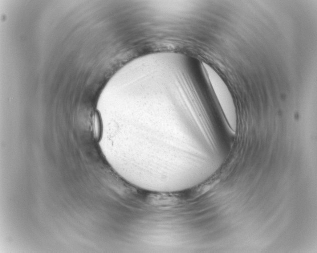 X0000088610331200706221437