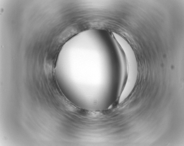 X0000088610333200706221437