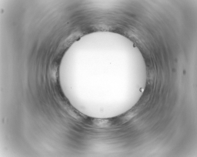 X0000088610334200706221437