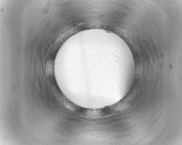 X0000088610335200706221437