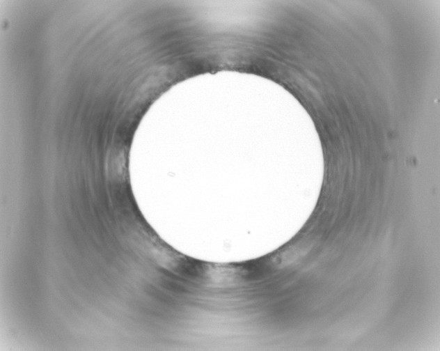 X0000088610336200706221437