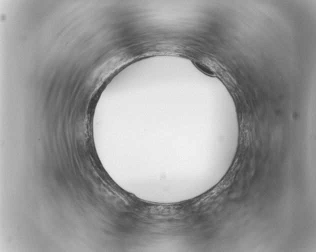 X0000088610338200706221436