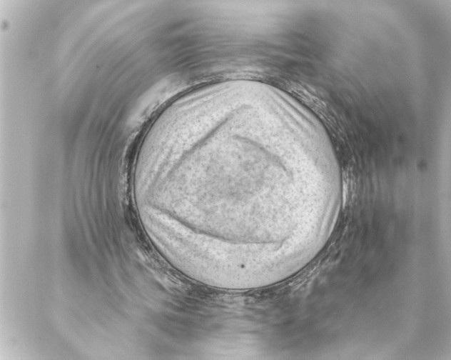 X0000088610339200706221436