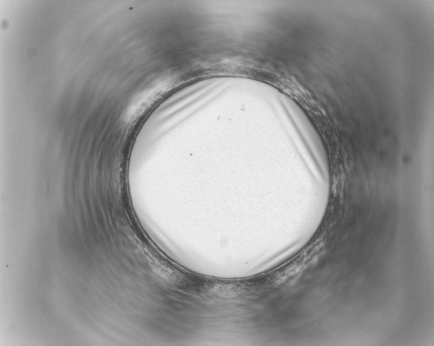 X0000088610341200706221436