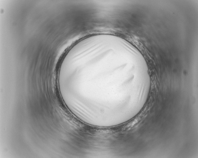 X0000088610342200706221436