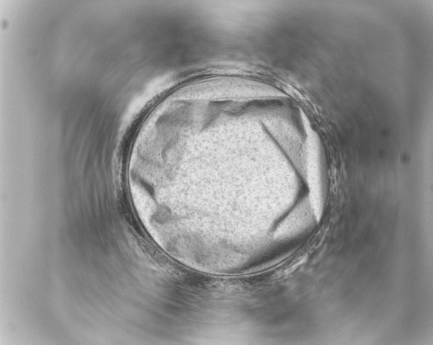 X0000088610343200706221436