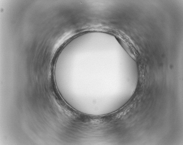 X0000088610344200706221436