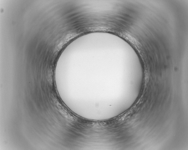 X0000088610345200706221436