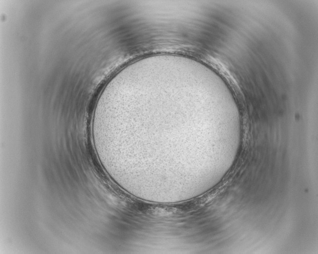 X0000088610346200706221436