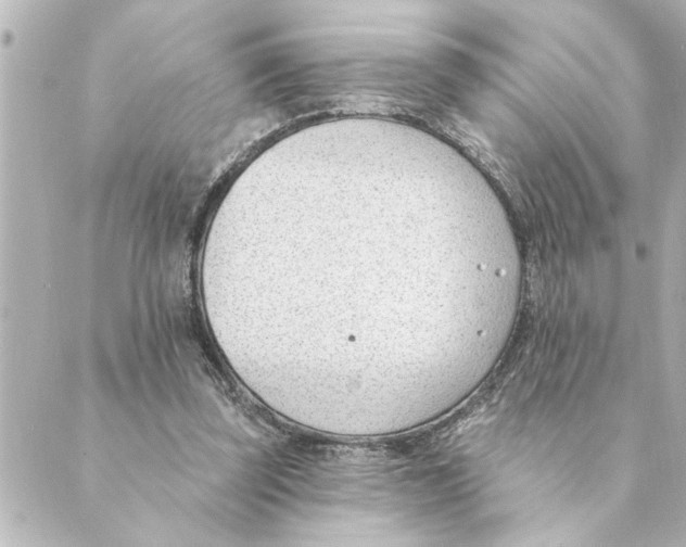 X0000088610347200706221436