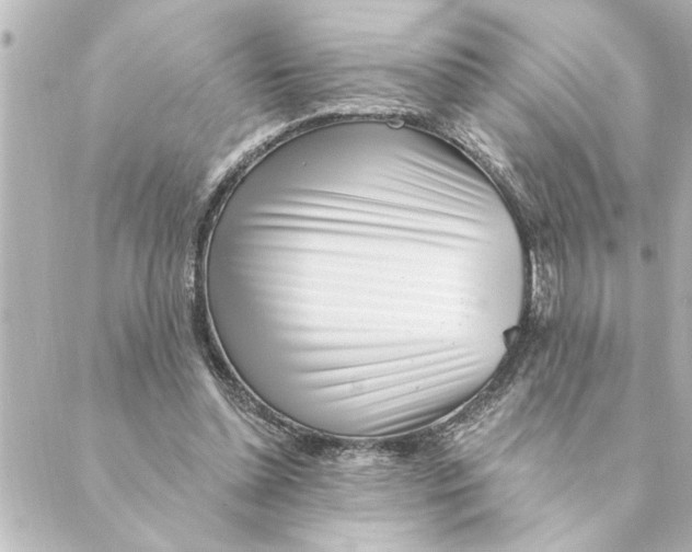 X0000088610348200706221436