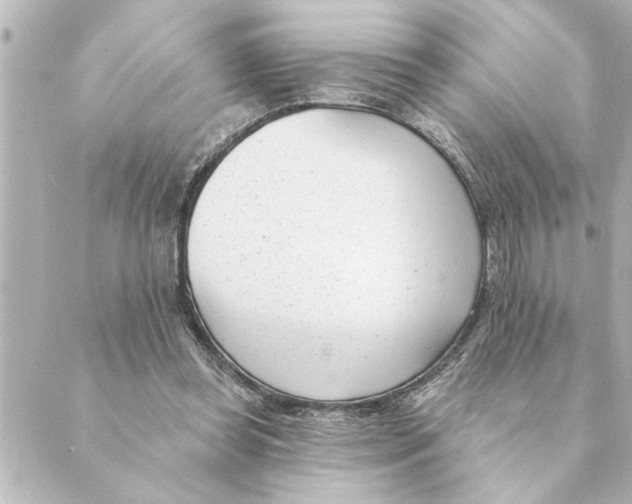 X0000088610349200706221436