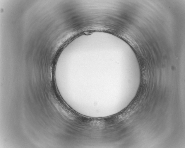 X0000088610350200706221436