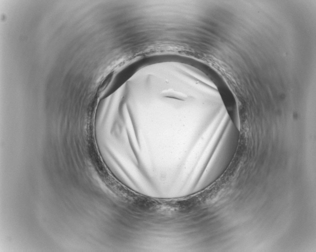 X0000088610352200706221436