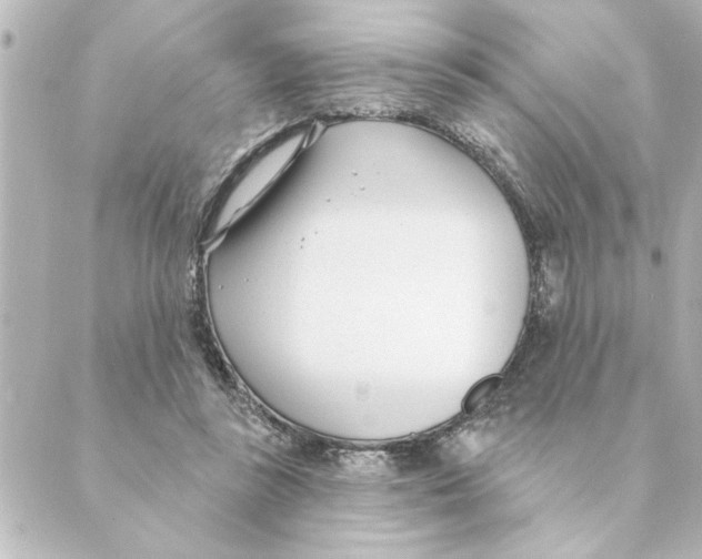 X0000088610355200706221436