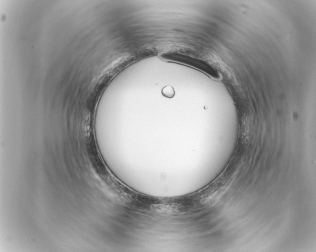 X0000088610356200706221436