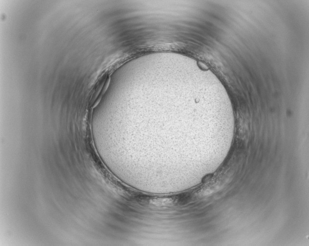 X0000088610357200706221436