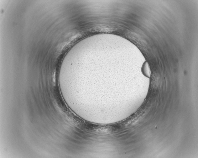 X0000088610358200706221436