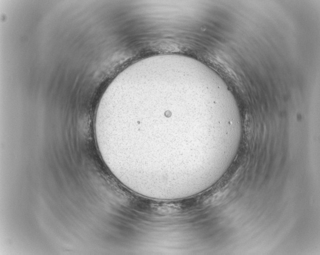 X0000088610359200706221436