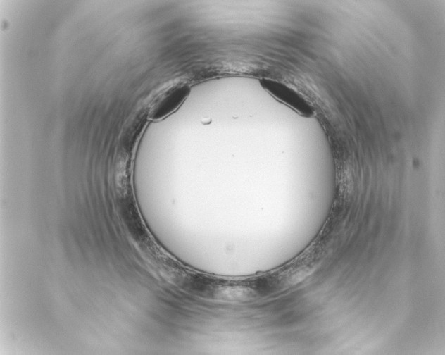 X0000088610360200706221436