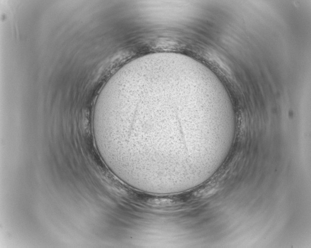 X0000088610361200706221436