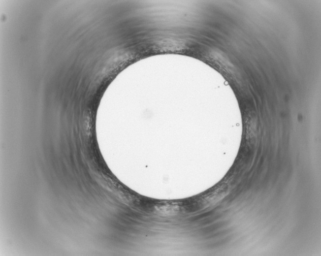 X0000088610362200706221436