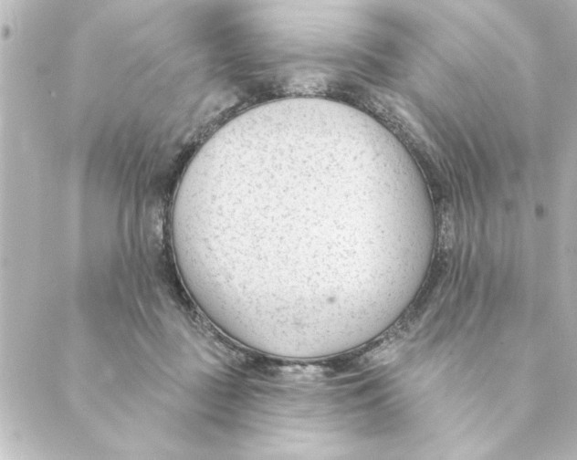 X0000088610363200706221436