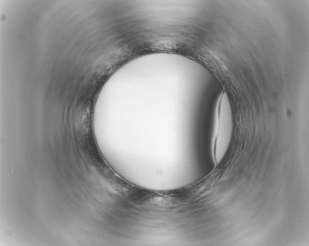 X0000088610364200706221436