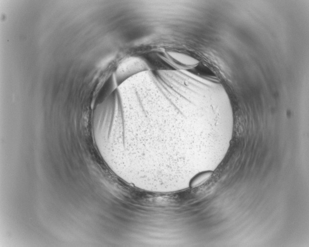 X0000088610365200706221436