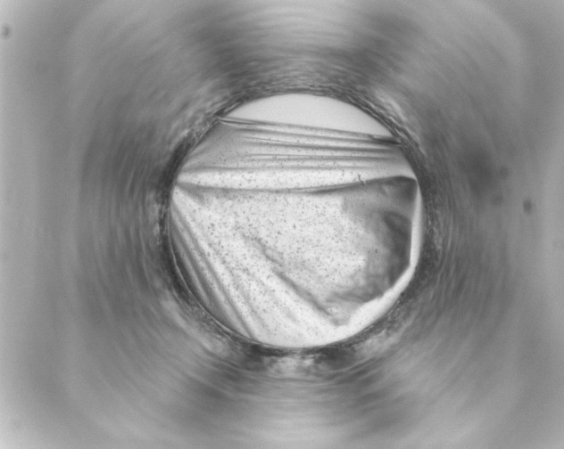 X0000088610366200706221436