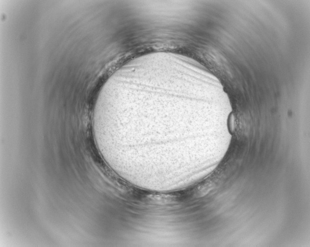 X0000088610367200706221436