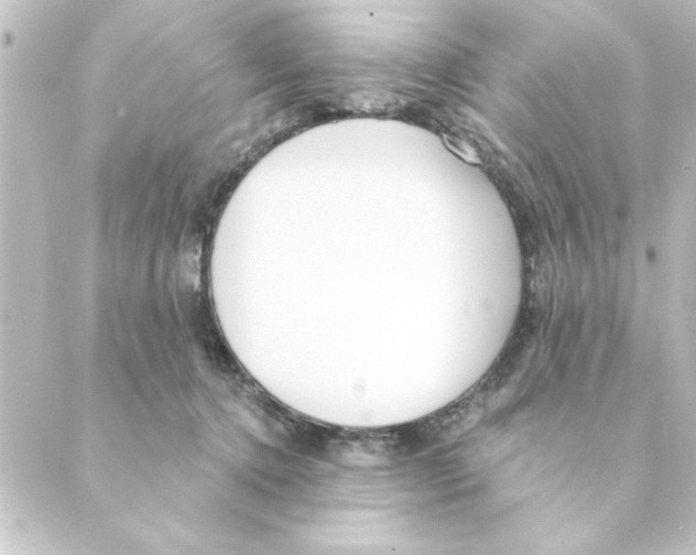 X0000088610368200706221436