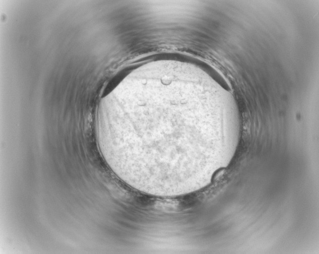 X0000088610369200706221436