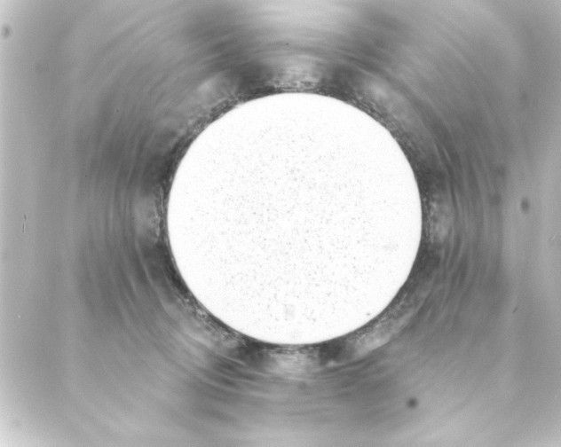 X0000088610370200706221436