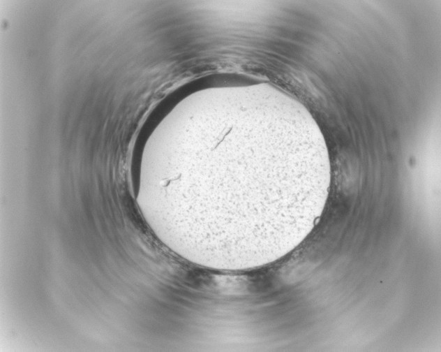 X0000088610371200706221436