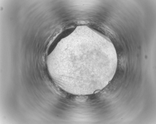 X0000088610373200706221436