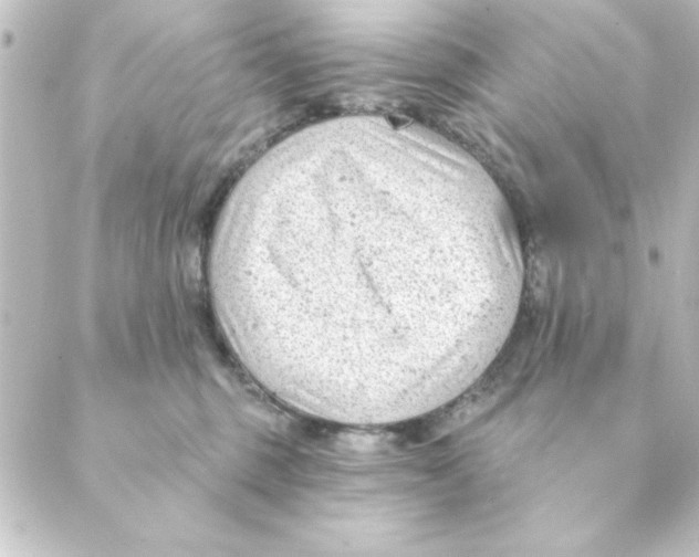 X0000088610375200706221436