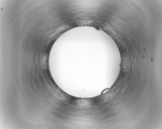 X0000088610378200706221437