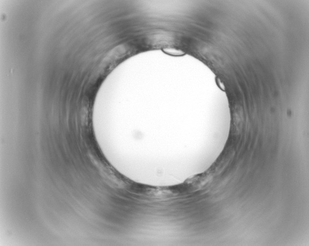 X0000088610379200706221437