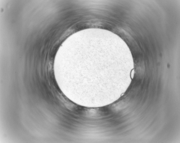 X0000088610382200706221437