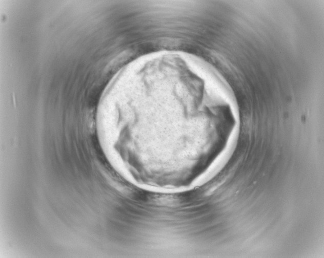 X0000088610383200706221437