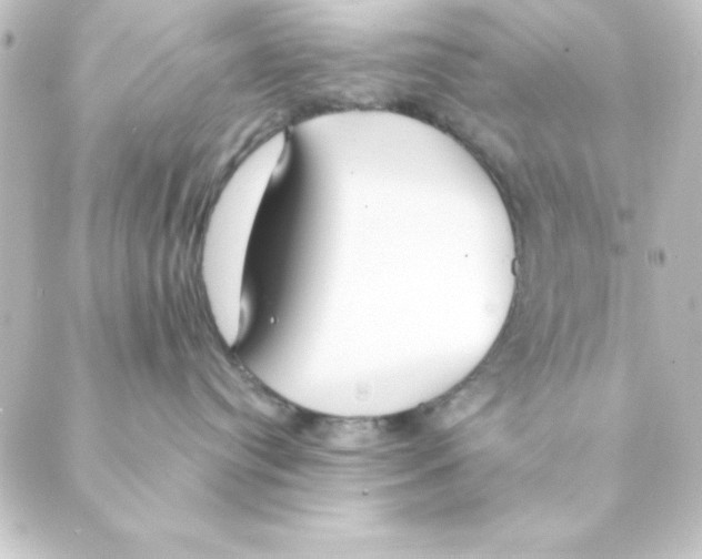 X0000088610384200706221437