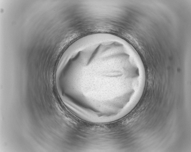 X0000088610386200706221436